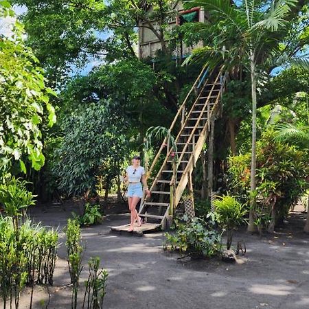 Tanna Volcano View Tree House Lenkuru Exterior foto