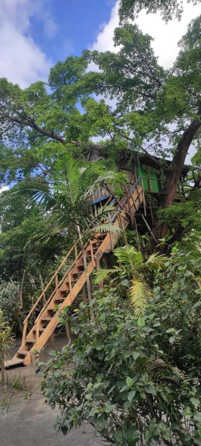 Tanna Volcano View Tree House Lenkuru Exterior foto